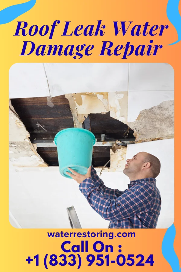 Roof Leak Water Damage Repair in Warrensburg, MO